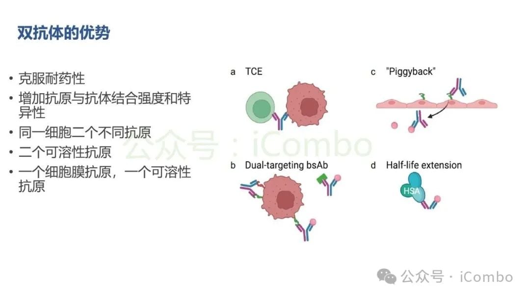 癌症治疗新突破:双特异性抗体(双抗)作用机制与药物全解析 7 图片