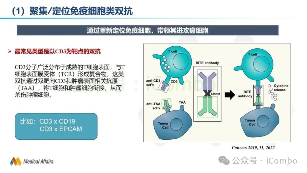 癌症治疗新突破:双特异性抗体(双抗)作用机制与药物全解析 9 图片