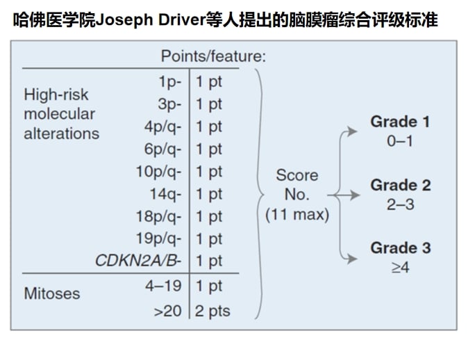 脑胶质瘤等中枢神经系统肿瘤治疗前,为何必须做基因检测? 44 图片