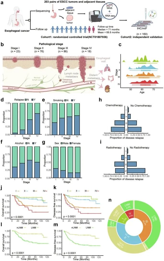 食管癌治疗新方向:最新研究揭示三种分子分型,精准预测预后与复发风险 2 图片