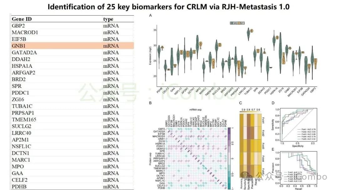 结直肠癌肝转移新突破:GNB1基因或成免疫治疗关键靶点 5 图片