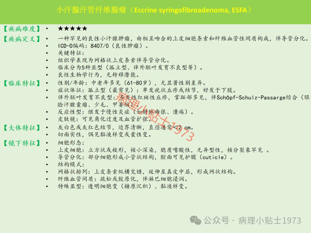 脚底长了结节是癌症吗?一文了解小汗腺汗管纤维腺瘤的诊断与治疗 16 图片