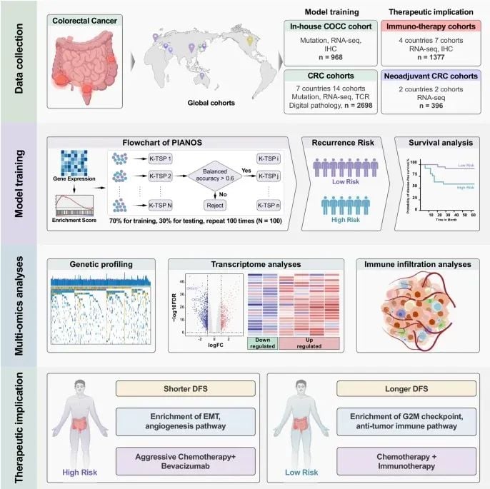 结直肠癌治疗新突破:PIANOS系统精准预测风险,指导个性化用药 2 图片