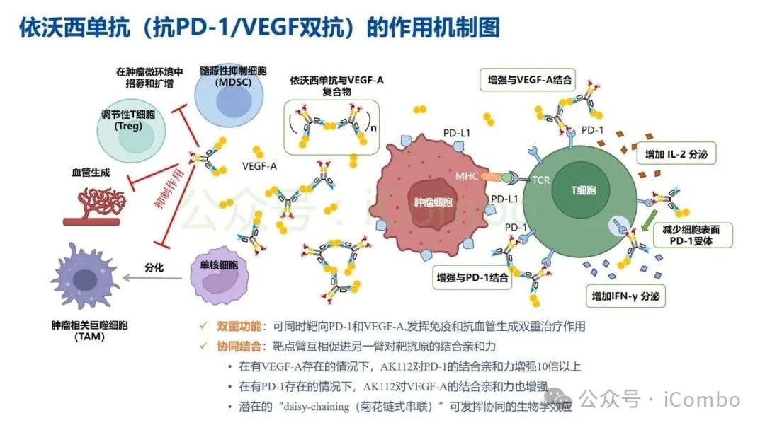 癌症治疗新突破:双特异性抗体(双抗)作用机制与药物全解析 21 图片