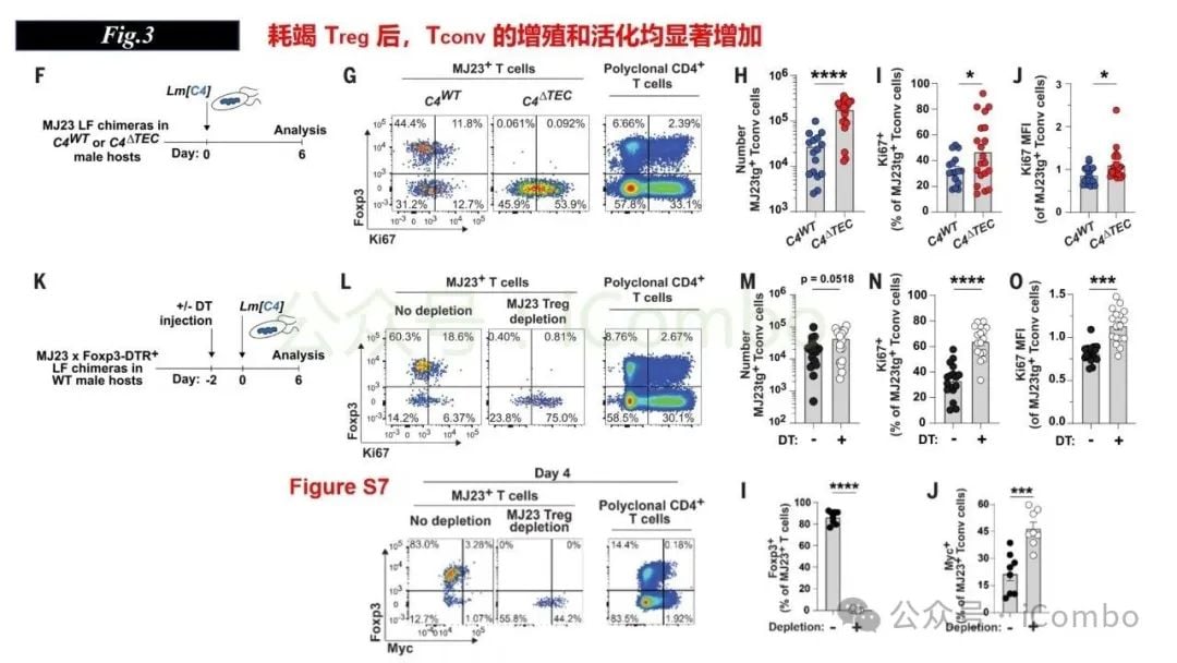 感染与自身免疫:调节性T细胞(Treg)如何守护机体平衡? 15 图片