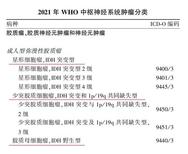 脑胶质瘤等中枢神经系统肿瘤治疗前,为何必须做基因检测? 4 图片