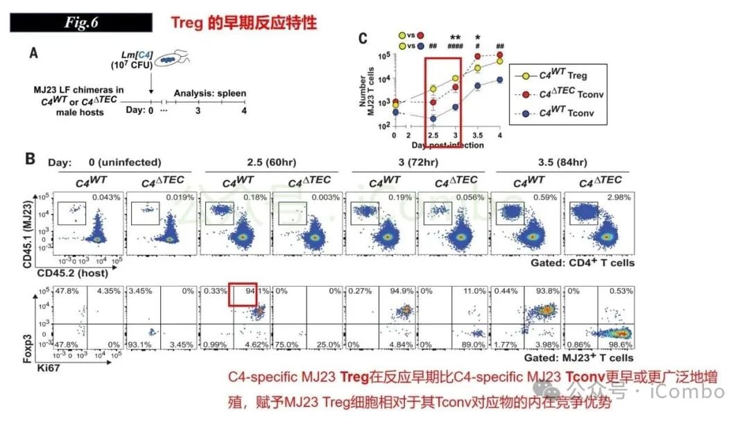感染与自身免疫:调节性T细胞(Treg)如何守护机体平衡? 21 图片