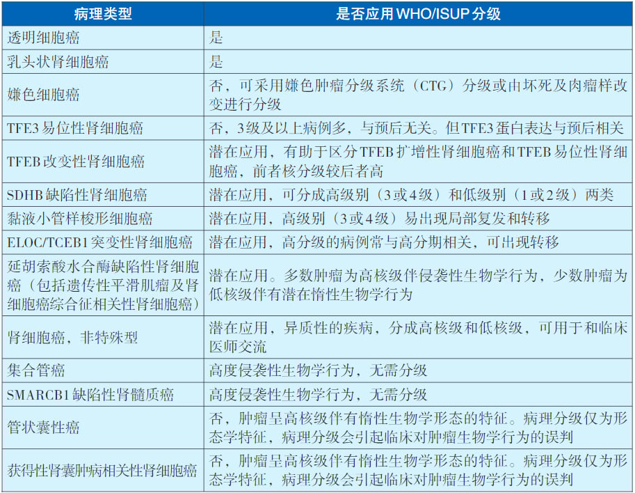 深度解析2025版CACA肾癌指南:掌握最新诊断、分期与病理分型 6 图片