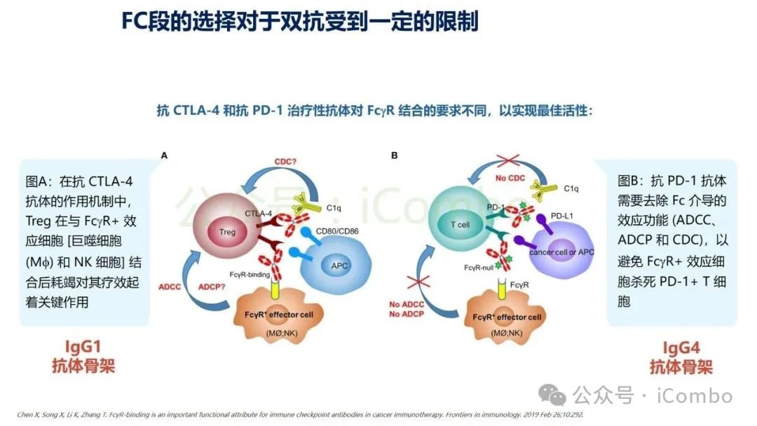 癌症治疗新突破:双特异性抗体(双抗)作用机制与药物全解析 13 图片