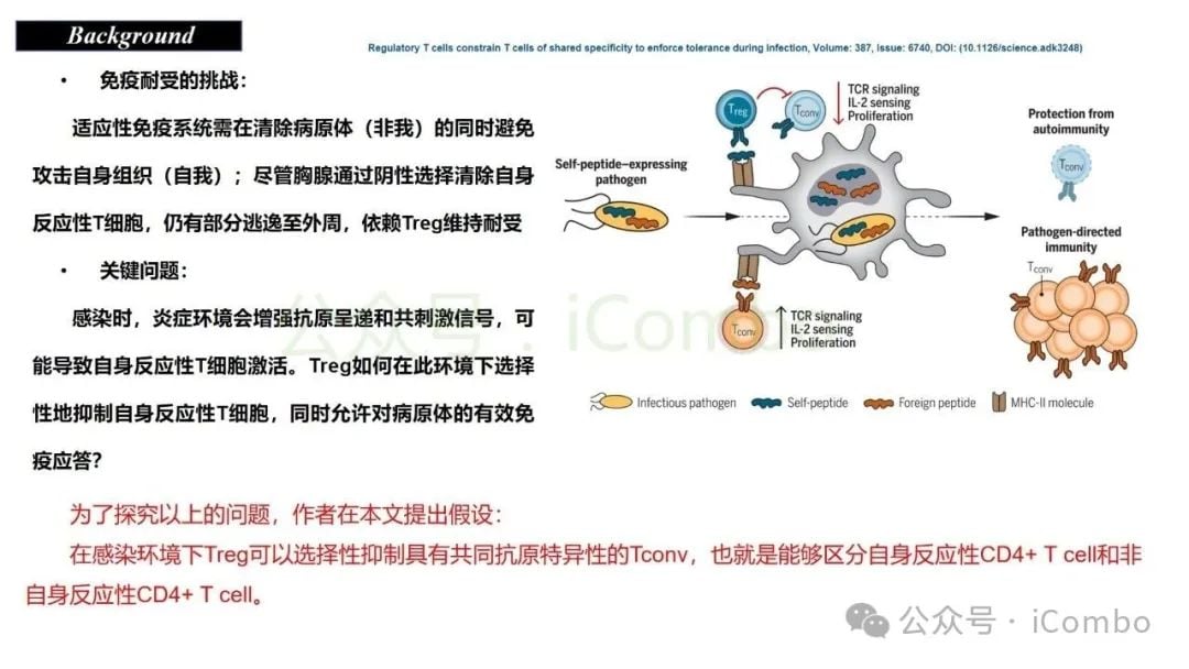感染与自身免疫:调节性T细胞(Treg)如何守护机体平衡? 4 图片