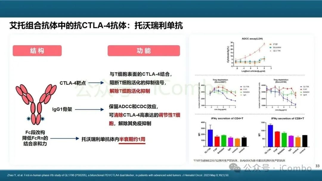 癌症治疗新突破:双特异性抗体(双抗)作用机制与药物全解析 33 图片