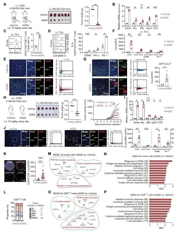 AGK2新策略:破解pMMR结直肠癌免疫耐药,联合抗PD-1疗法前景广阔 6 图片