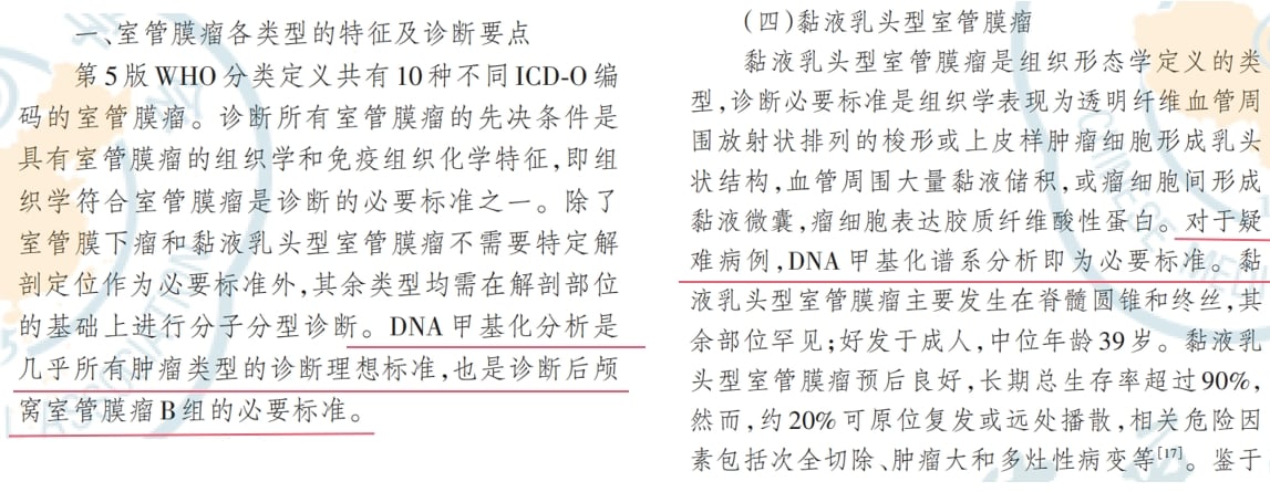 脑胶质瘤等中枢神经系统肿瘤治疗前,为何必须做基因检测? 28 图片