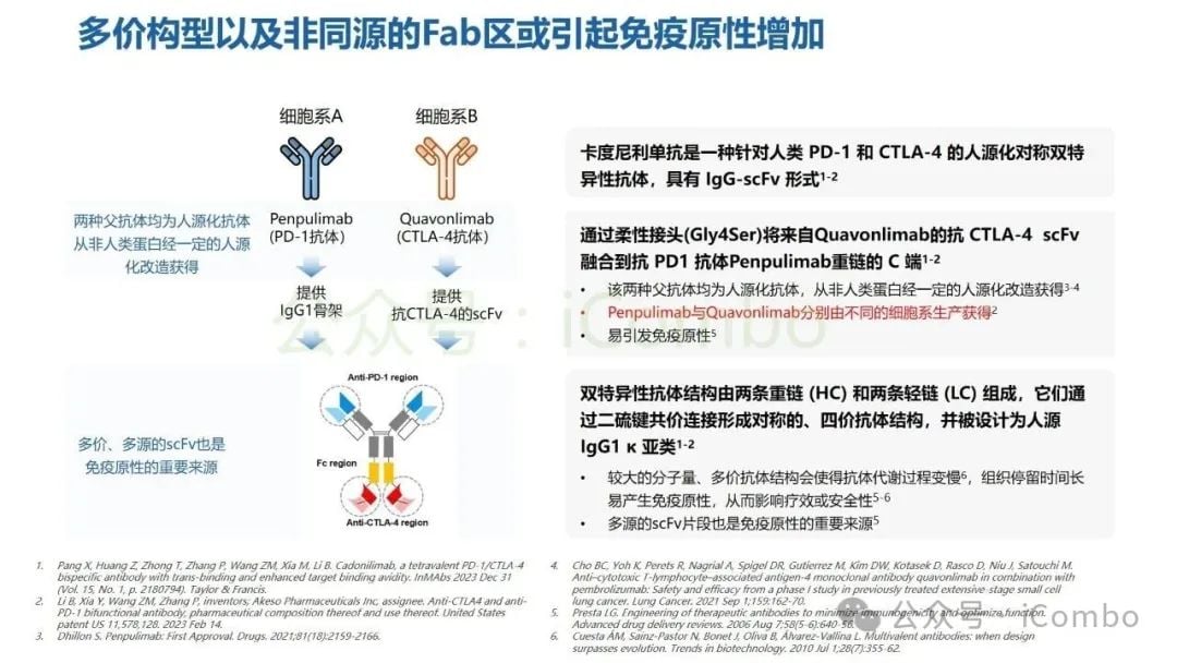 癌症治疗新突破:双特异性抗体(双抗)作用机制与药物全解析 17 图片