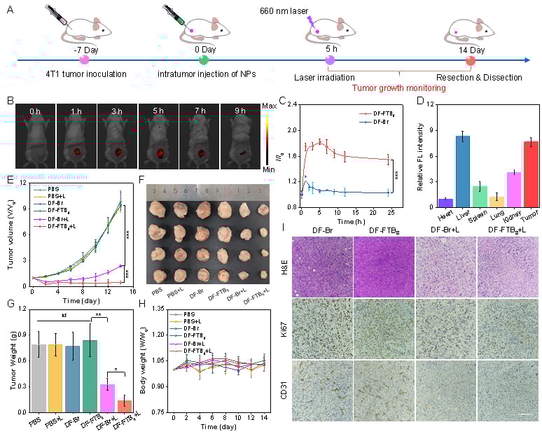 光动力治疗新突破:新型光敏剂在乳腺癌治疗中展现高效杀伤力 6 图片