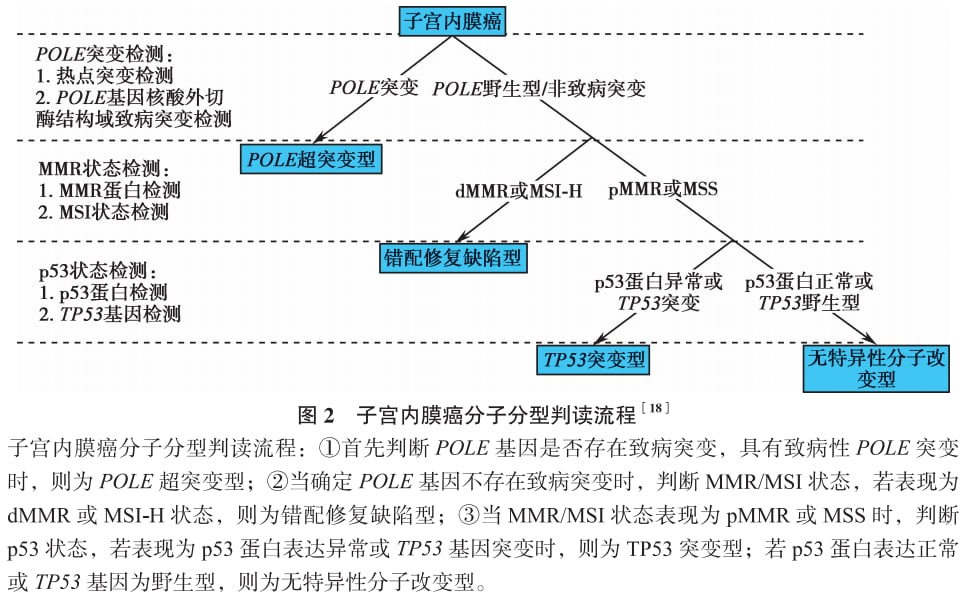 子宫内膜癌精准治疗:分子分型还不够,NGS多基因检测为何至关重要? 2 图片