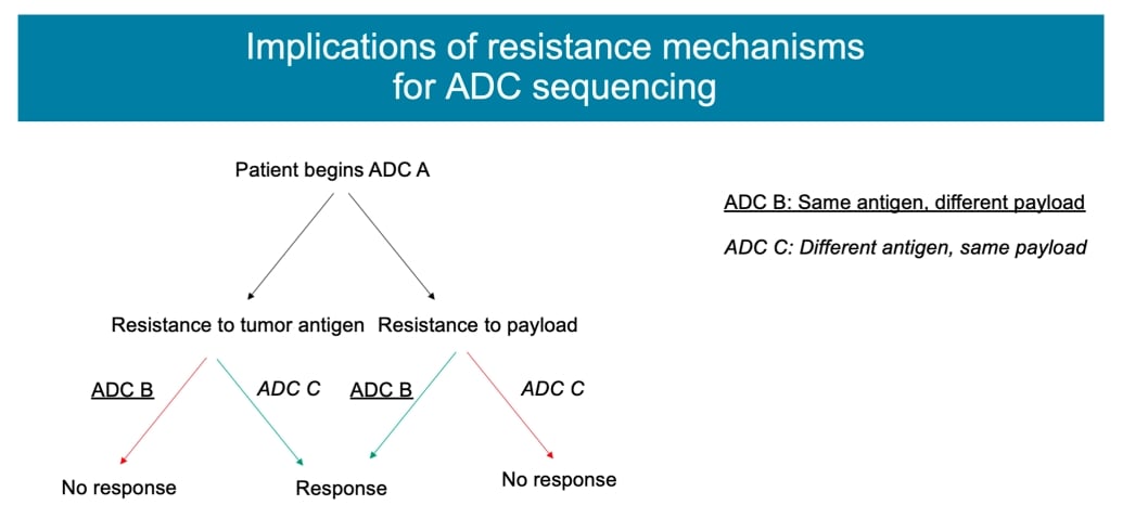 ADC药物(如T-DM1)为什么会失效?深度解析三大耐药机制与应对策略 2 图片
