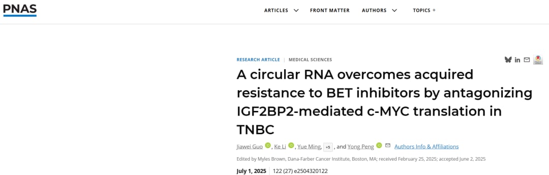 三阴性乳腺癌BET抑制剂耐药新突破:环状RNA联合疗法有效克服耐药性 1 图片