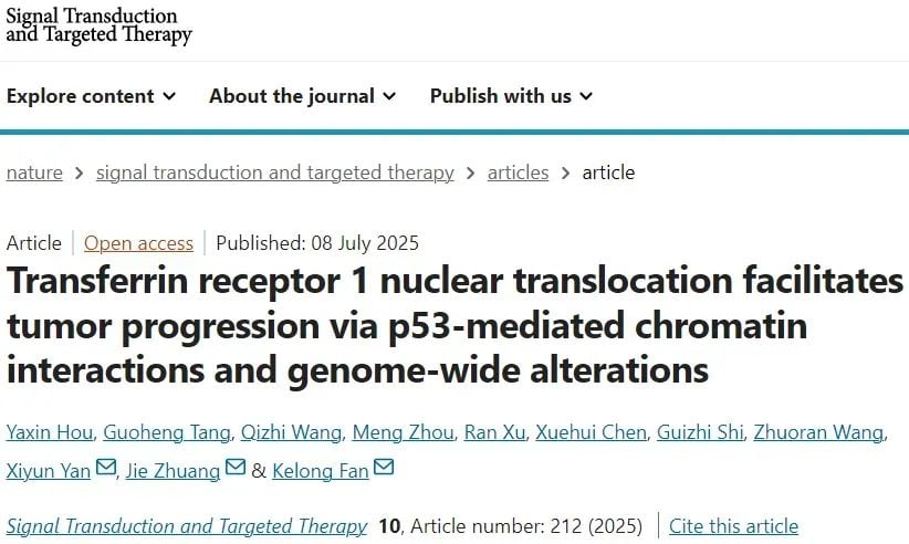 转铁蛋白受体1(TfR1)与p53相互作用:揭示结直肠癌进展新机制 1 图片