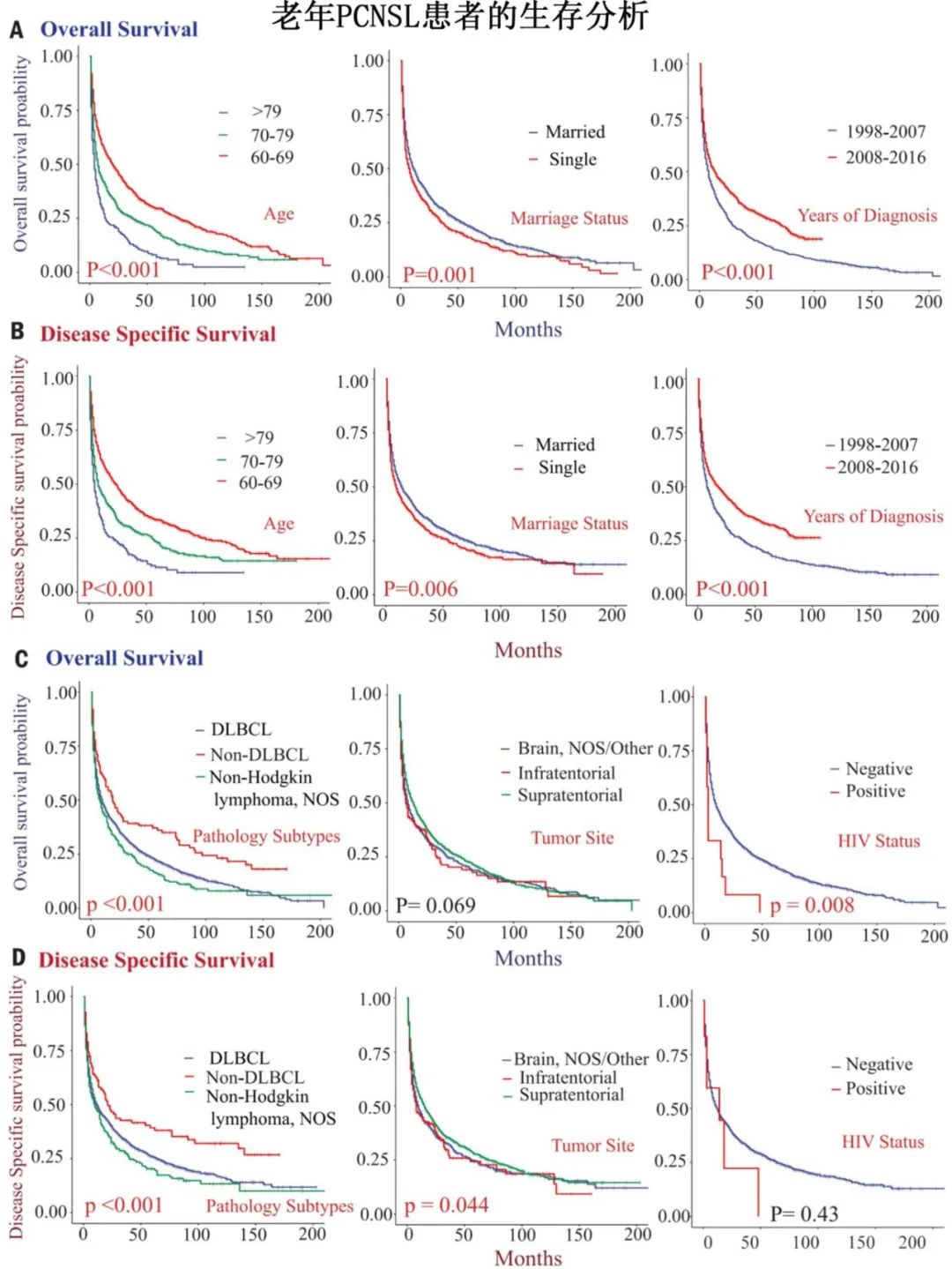 如何评估老年PCNSL预后?最新研究揭示化疗与手术是改善生存的关键 3 3.jpg