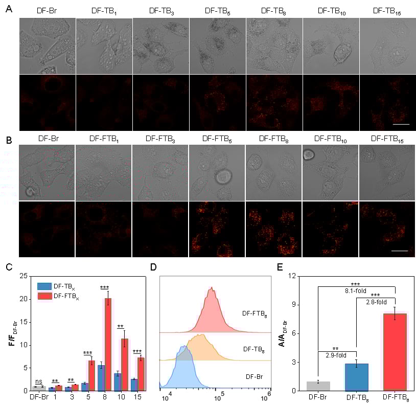 光动力治疗新突破:新型光敏剂在乳腺癌治疗中展现高效杀伤力 4 图片