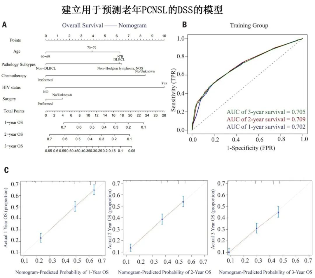 如何评估老年PCNSL预后?最新研究揭示化疗与手术是改善生存的关键 5 5.jpg