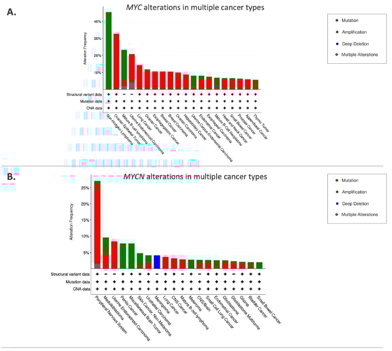 MYCN基因扩增:儿童脑肿瘤的“幕后黑手”与靶向治疗新希望 1 图片
