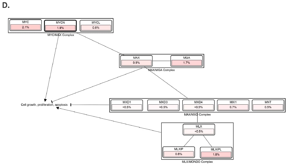 MYCN基因扩增:儿童脑肿瘤的“幕后黑手”与靶向治疗新希望 5 图片