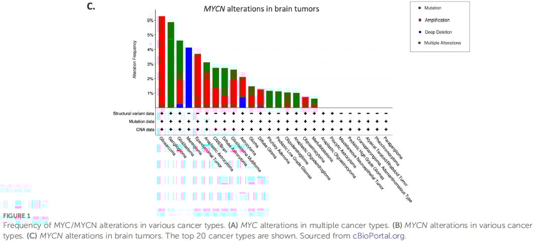 MYCN基因扩增:儿童脑肿瘤的“幕后黑手”与靶向治疗新希望 2 图片