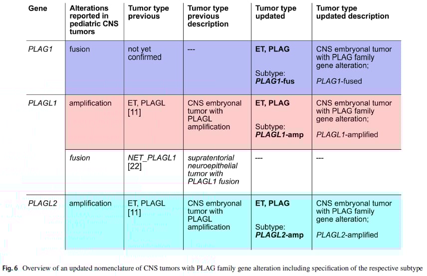 PLAG1融合:中枢神经系统胚胎性肿瘤分子分型新突破,揭示潜在靶点 14 图片