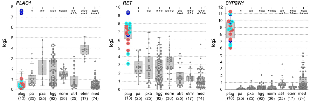 PLAG1融合:中枢神经系统胚胎性肿瘤分子分型新突破,揭示潜在靶点 7 图片