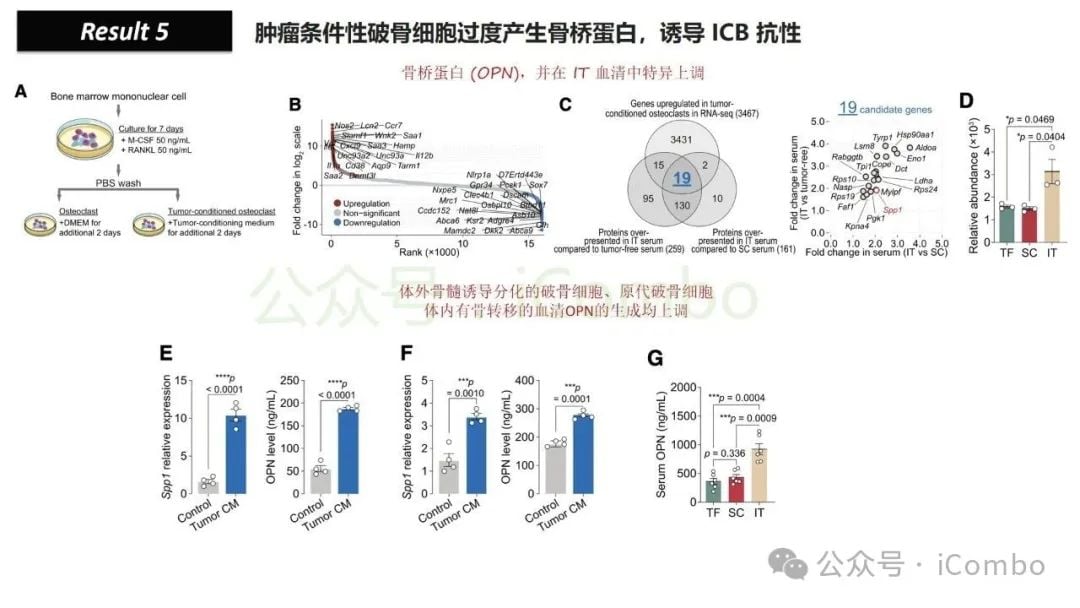 骨转移如何削弱免疫治疗效果?地舒单抗有望逆转乳腺癌、肺癌、前列腺癌患者的ICB耐药性 17 图片