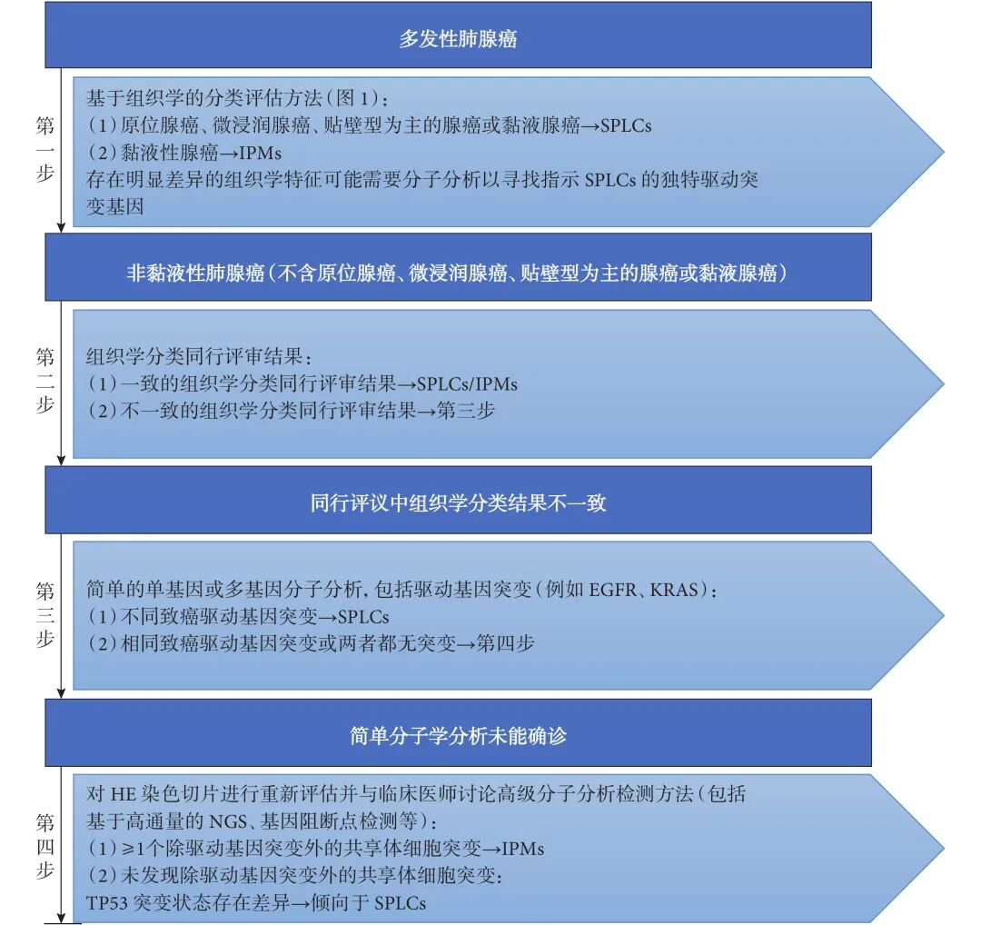 精准鉴别多发性肺腺癌:IASLC共识下的病理与分子诊断策略 2 图片