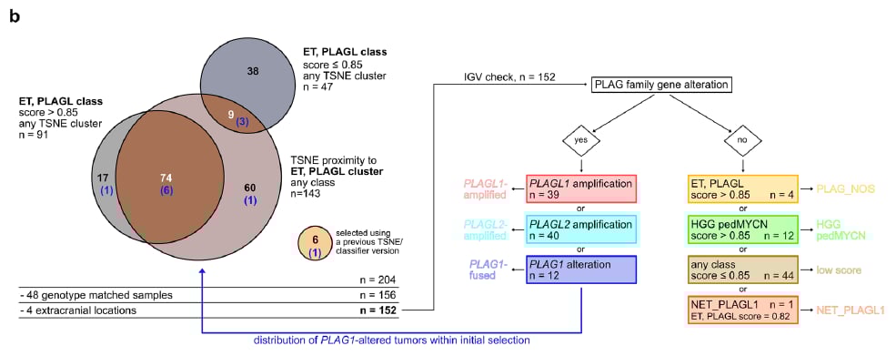 PLAG1融合:中枢神经系统胚胎性肿瘤分子分型新突破,揭示潜在靶点 3 图片