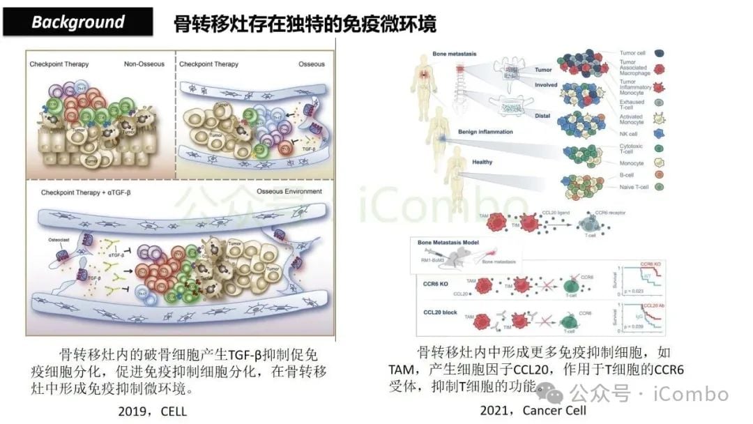 骨转移如何削弱免疫治疗效果?地舒单抗有望逆转乳腺癌、肺癌、前列腺癌患者的ICB耐药性 5 图片
