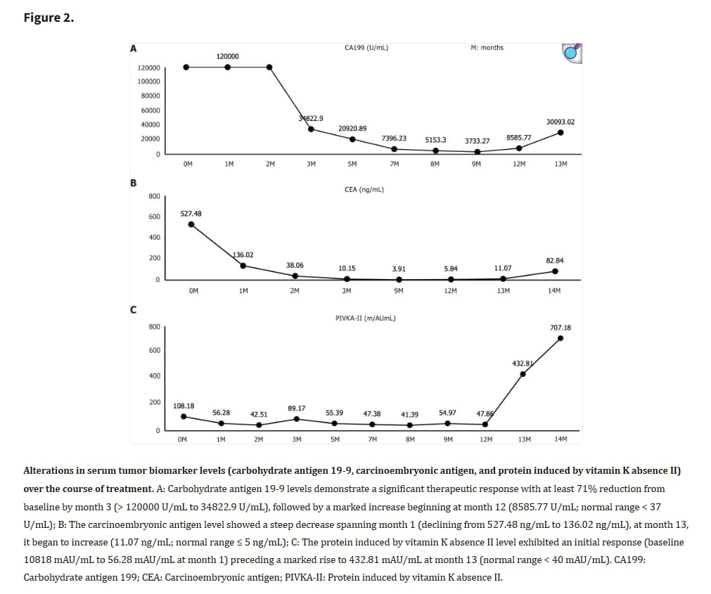 晚期胰腺癌肝转移患者的精准治疗:BRCA2突变与奥拉帕利联合方案的突破 2 图片