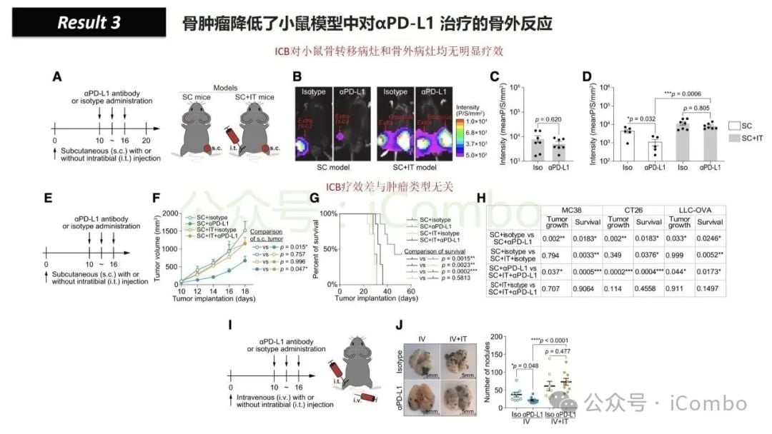骨转移如何削弱免疫治疗效果?地舒单抗有望逆转乳腺癌、肺癌、前列腺癌患者的ICB耐药性 11 图片