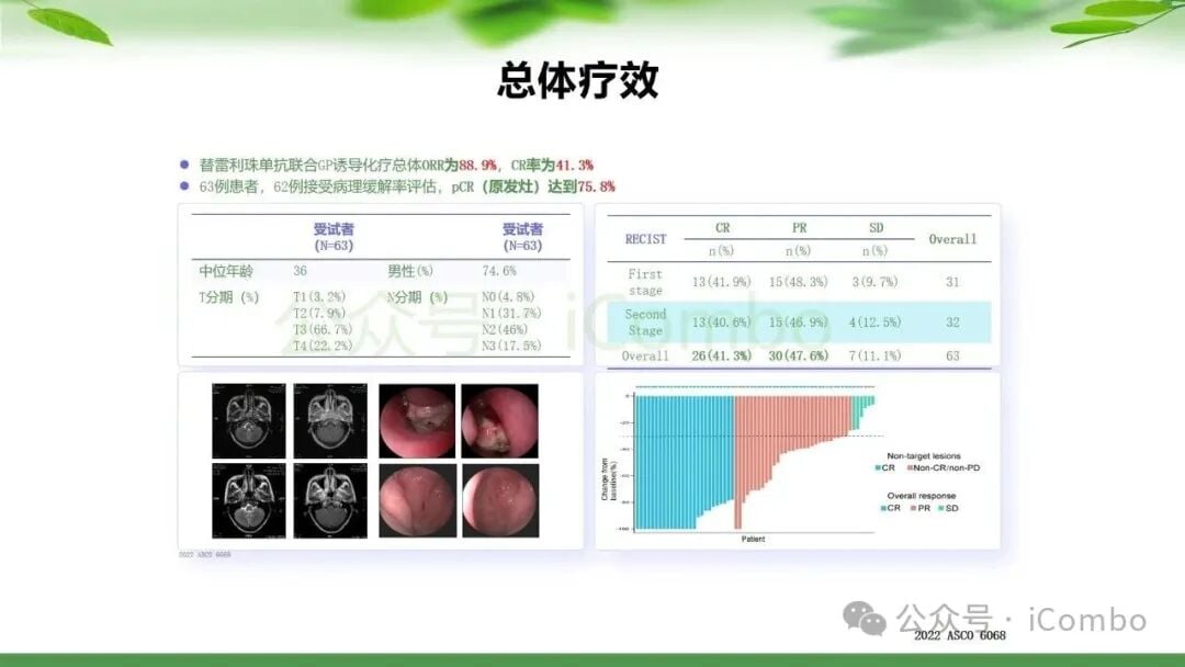 鼻咽癌治疗新篇章:PD-1单抗联合放疗,如何优化策略提升患者生存率? 24 图片