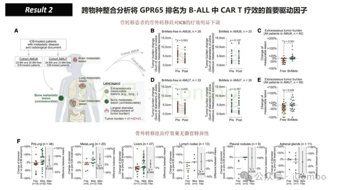 骨转移如何削弱免疫治疗效果?地舒单抗有望逆转乳腺癌、肺癌、前列腺癌患者的ICB耐药性 9 图片