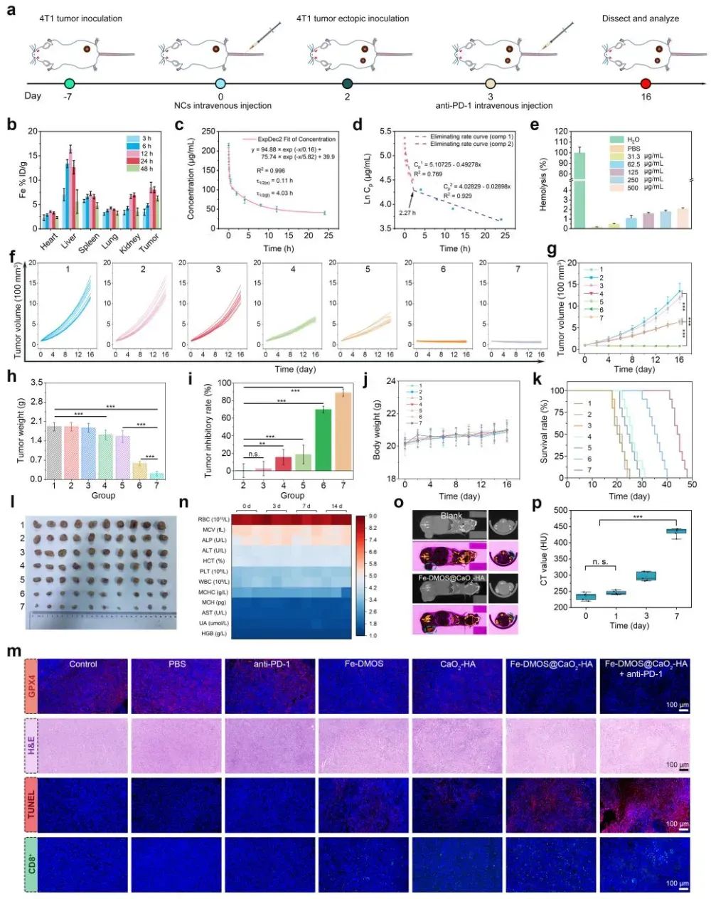 新型纳米复合物Fe-DMOS诱导肿瘤铁死亡,联合免疫治疗抗癌新突破 6 图片