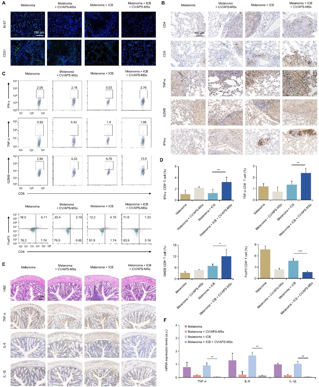 黄芪多糖与小球藻:癌症免疫治疗增效减毒的新策略 6 92e4bb53bf2e49bebde02f5ba362ef2d-pO637nr