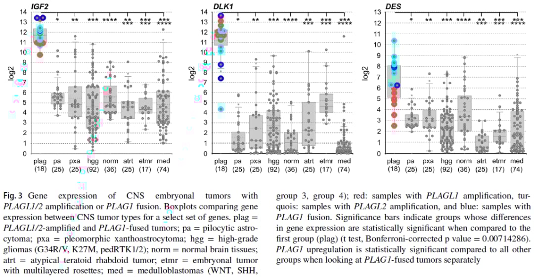 PLAG1融合:中枢神经系统胚胎性肿瘤分子分型新突破,揭示潜在靶点 8 图片