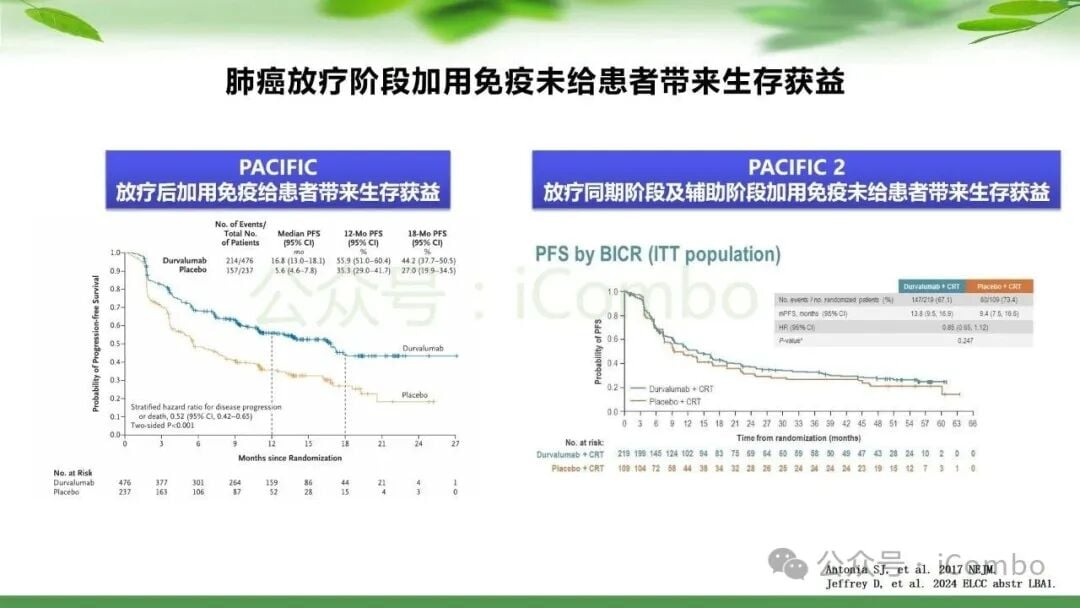 鼻咽癌治疗新篇章:PD-1单抗联合放疗,如何优化策略提升患者生存率? 14 图片