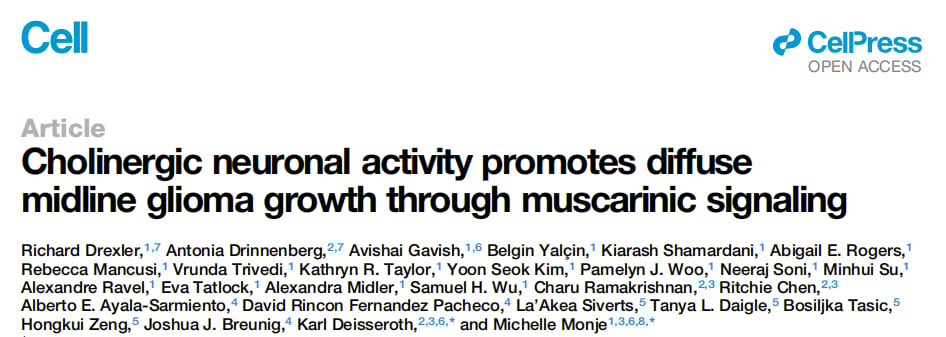 H3K27M弥漫性中线胶质瘤治疗新希望:Cell揭示中脑胆碱能通路M1R/M3R靶向潜力 1 图片