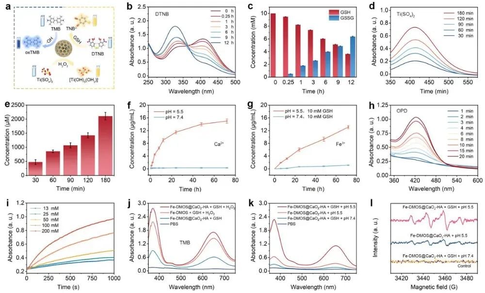 新型纳米复合物Fe-DMOS诱导肿瘤铁死亡,联合免疫治疗抗癌新突破 3 图片