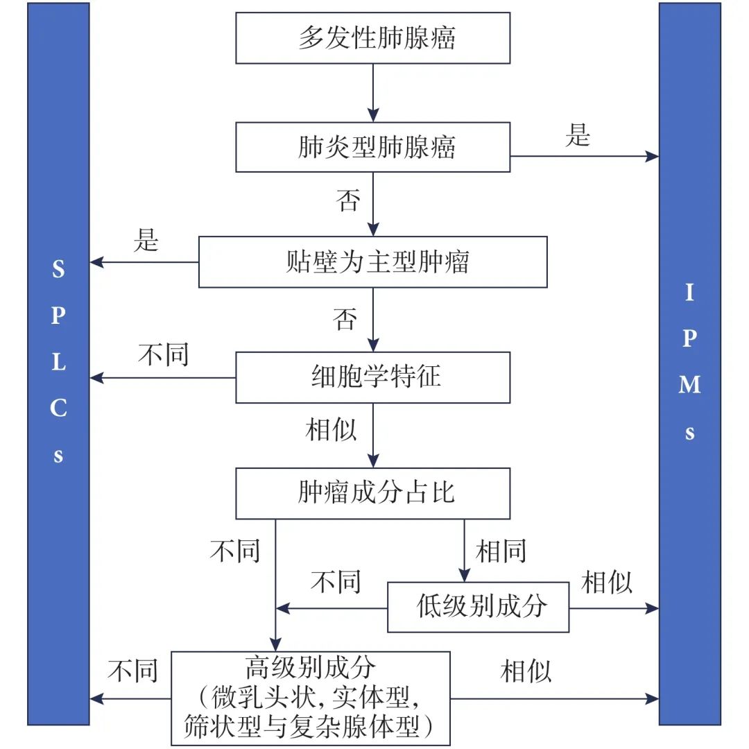 精准鉴别多发性肺腺癌:IASLC共识下的病理与分子诊断策略 1 图片