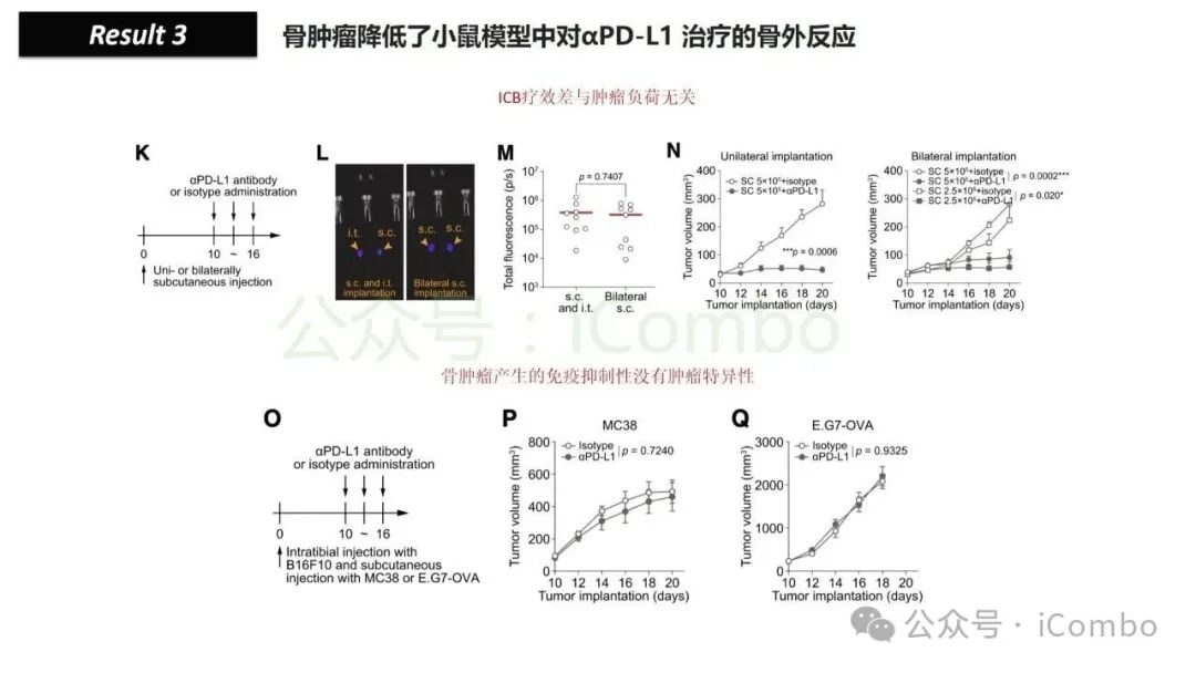 骨转移如何削弱免疫治疗效果?地舒单抗有望逆转乳腺癌、肺癌、前列腺癌患者的ICB耐药性 12 图片