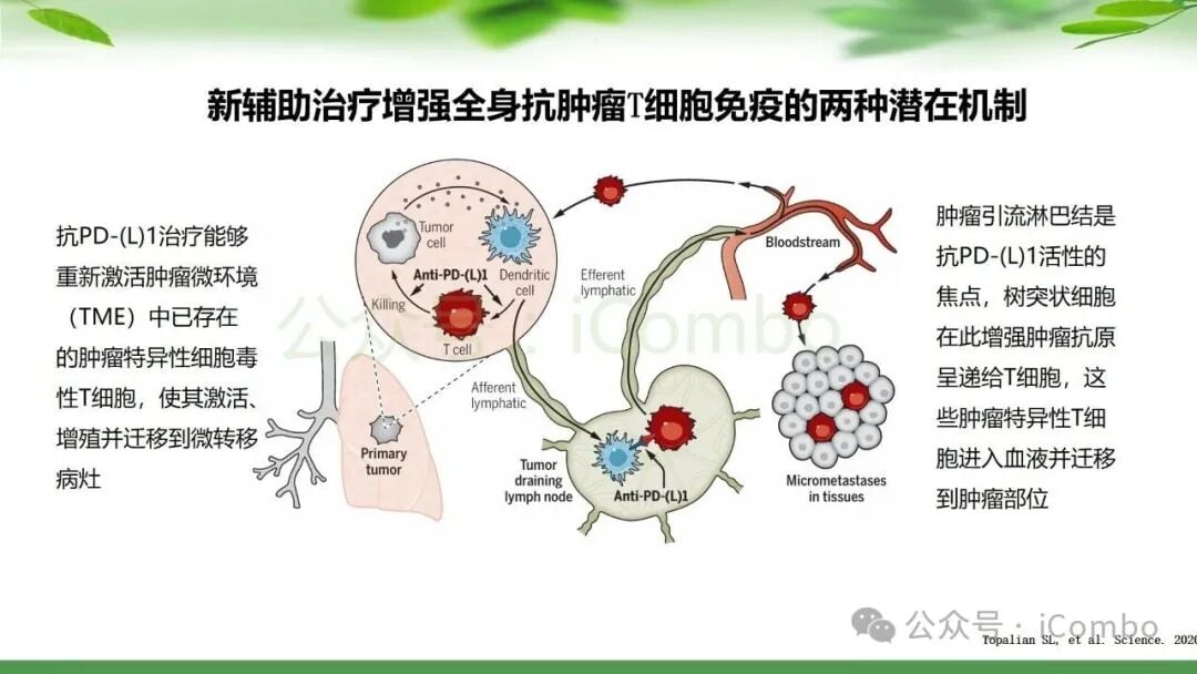 鼻咽癌治疗新篇章:PD-1单抗联合放疗,如何优化策略提升患者生存率? 21 图片