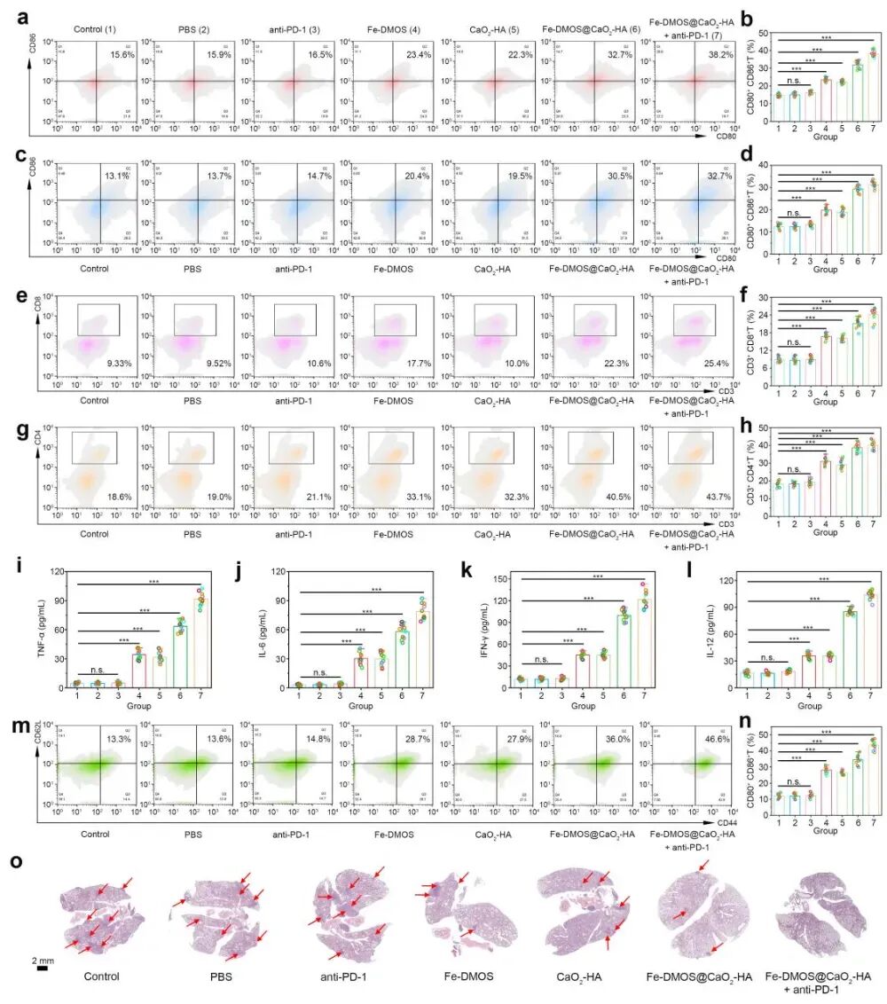 新型纳米复合物Fe-DMOS诱导肿瘤铁死亡,联合免疫治疗抗癌新突破 7 图片