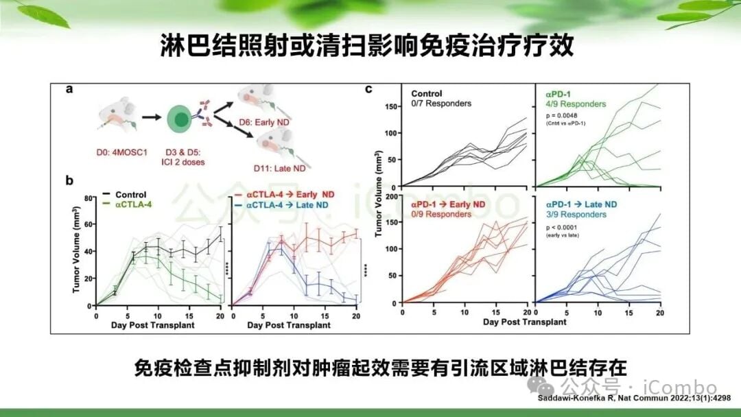 鼻咽癌治疗新篇章:PD-1单抗联合放疗,如何优化策略提升患者生存率? 15 图片